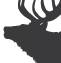 Cookecityantlerslodge.com Favicon