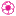 Cookibloom.com Favicon