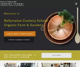 Cookingisfun.ie(Darina Allen's Ballymaloe Cookery School) Screenshot
