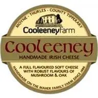 Cooleeney.com Favicon