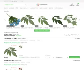 Coolflowers.pl(Kwiaty Sztuczne) Screenshot