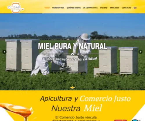 Coopcosar.com(COSAR) Screenshot