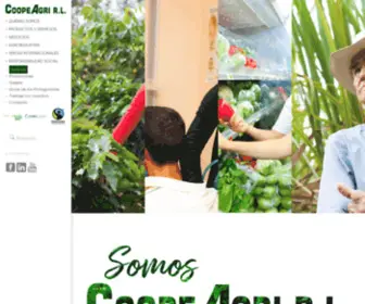 Coopeagri.co.cr(Cooperativa agrícola industrial) Screenshot