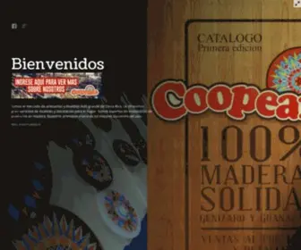 Coopearsarl.com(Cooperativa de Servicios Múltiples de los Artesanos de Sarchí de Valverde Vega) Screenshot