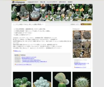 Copiapoa.jp(Copiapoa（コピアポア）) Screenshot