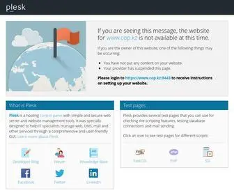 Cop.kz(Domain Default page) Screenshot
