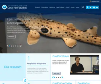Coralcoe.org.au(World-best integrated research for sustainable use and management of coral reefs) Screenshot