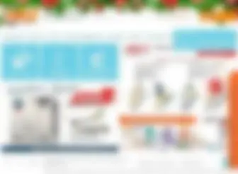 Coralspb.ru(Интернет) Screenshot