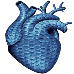 Corazondeescamas.com Favicon