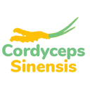 Cordycepssinensis.org Logo