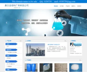 Coreysteib.com(东方鑫梦信讯科技公司) Screenshot