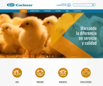 Corinser.com(Inicio) Screenshot