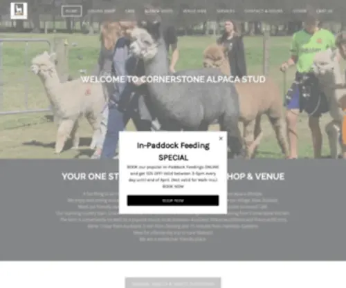 Cornerstonestud.co.nz(Cornerstone Alpaca Stud Home) Screenshot