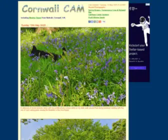 Cornwallcam.co.uk(Cornwall CAM) Screenshot