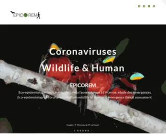 Coronavirus.fr(Eco) Screenshot