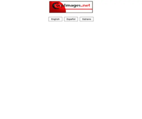 Corpimages.net(Internet Marketing) Screenshot