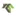 Corpsnab.com Favicon