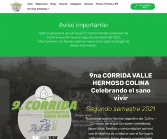 Corridavallehermosocolina.cl(Los) Screenshot