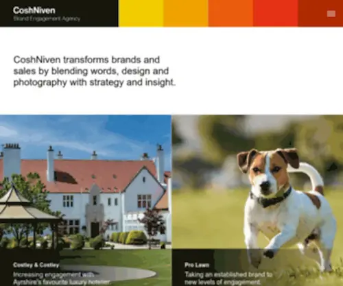 Coshniven.com(Marketing, branding and web design in Ayrshire) Screenshot