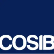 Cosib.de Logo