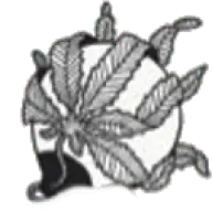 Cosmiccannabisak.com Favicon