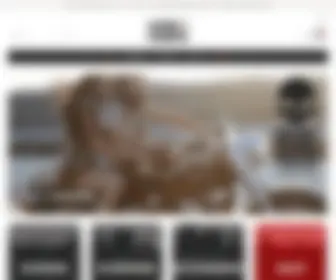 Cosmiccowboys.com(Herenkleding) Screenshot