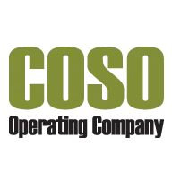 Cosoenergy.com Favicon