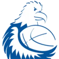 Cossonaybasket.ch Favicon