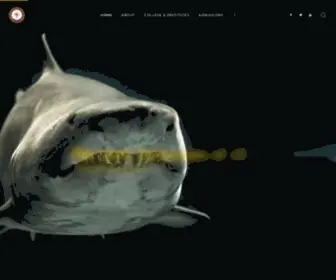 Costrad.org(Seeing the invisible) Screenshot