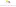 Cotillonlaestrella.cl Favicon
