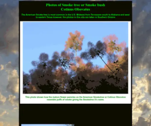 Cotinus.net(Smoke Tree or Smoke bush) Screenshot