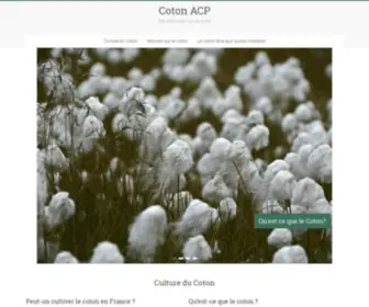 Coton-ACP.org(Coton ACP) Screenshot