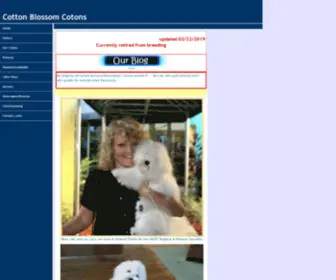 Cottonblossomcotons.com(Cotton Blossoms Coton De Tulear) Screenshot