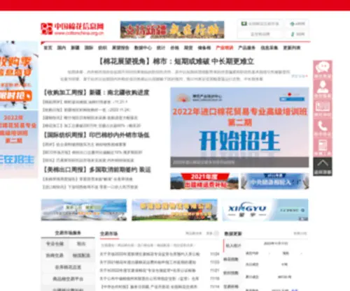 Cottonchina.org.cn(棉花信息网) Screenshot