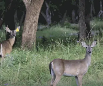 CottonwoodcreekrvPark.com(A True Texas Hill Country Gem) Screenshot