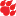 Cougars.xxx Favicon