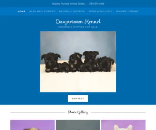 Cougartownkennel.com(Cougar Town Kennel) Screenshot