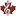 Counterpointmusic.ca Favicon