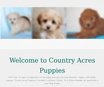 Countryacrespuppies.com(Country Acres Puppies) Screenshot