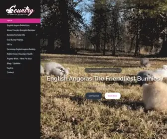 Countrybumpkinbunnies.com(English Angora Rabbits) Screenshot