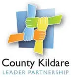 Countykildarelp.ie Favicon