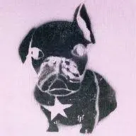 Coup-DE-Vent.com Favicon