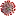 Covid19-Mlia.eu Favicon