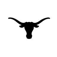 Cowboysrinconpr.com Favicon