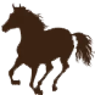 Cowgirlsandcowboysinthewest.com Favicon