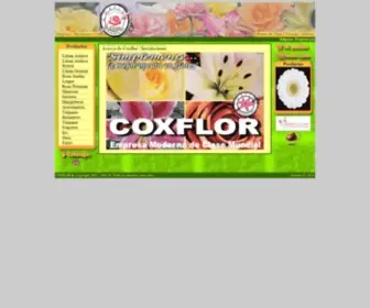 Coxflor.com(Coxflor) Screenshot