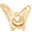 Coyatours.com Favicon