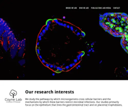 Coynelab.com(Coyne Lab) Screenshot