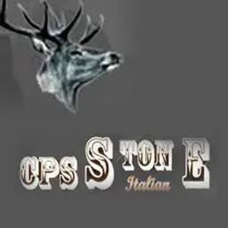 CPS-Stone.ir Favicon