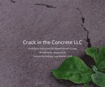 Crack-IN-The-Concrete.com(Crack in the Concrete) Screenshot